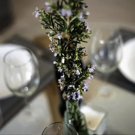 Atico Auditorio Centro Ля Оротава